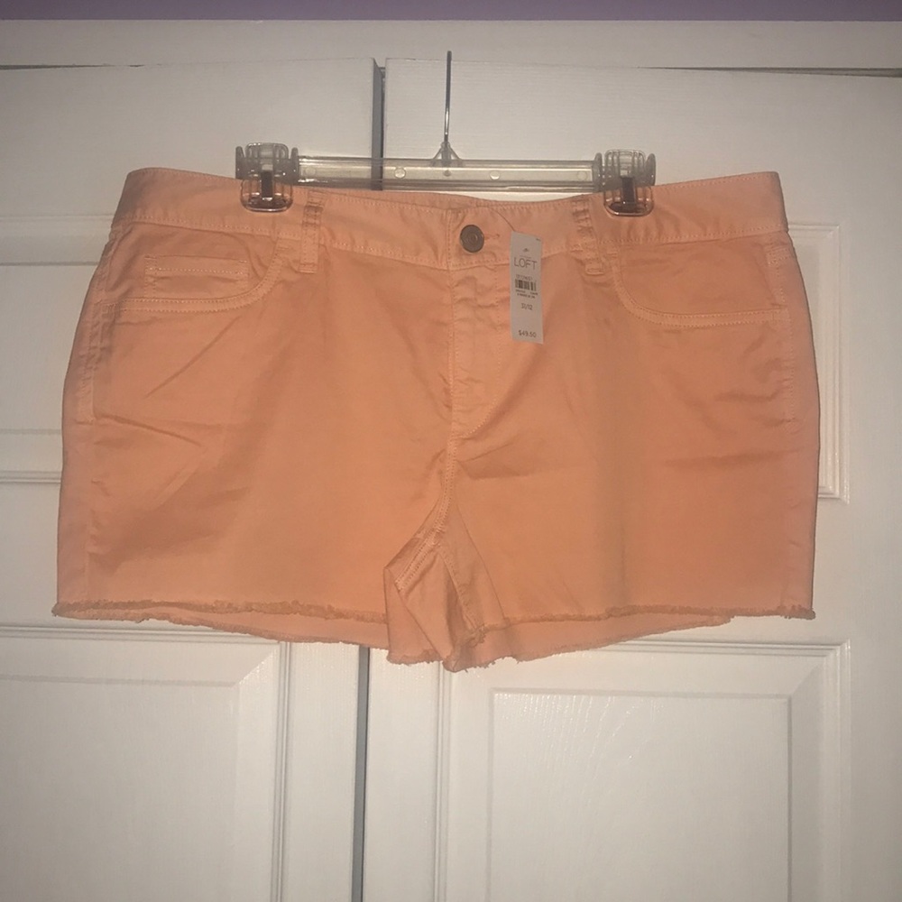 NWT! Orange LOFT Shorts in size 31/12